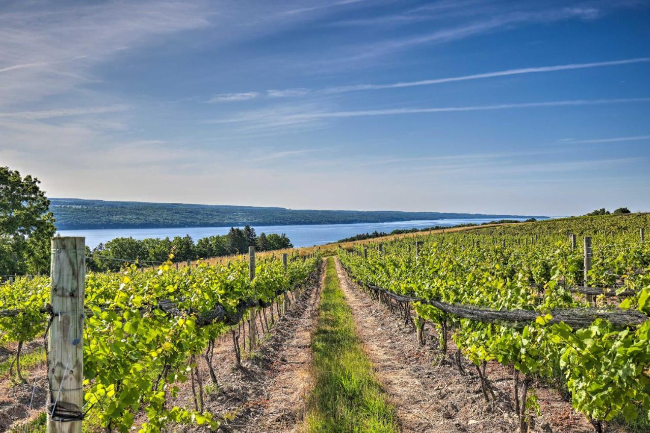 Finger Lakes Farm Retreat Walk To Wineries! Hector Bagian luar foto
