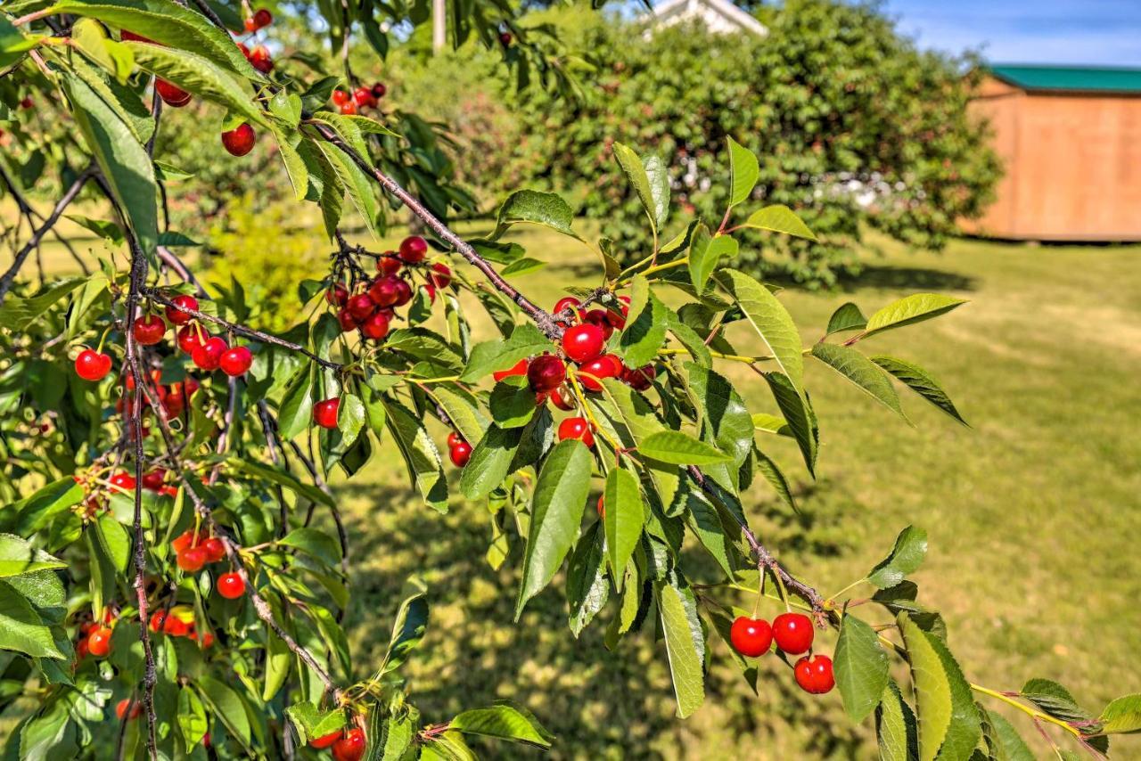 Finger Lakes Farm Retreat Walk To Wineries! Hector Bagian luar foto