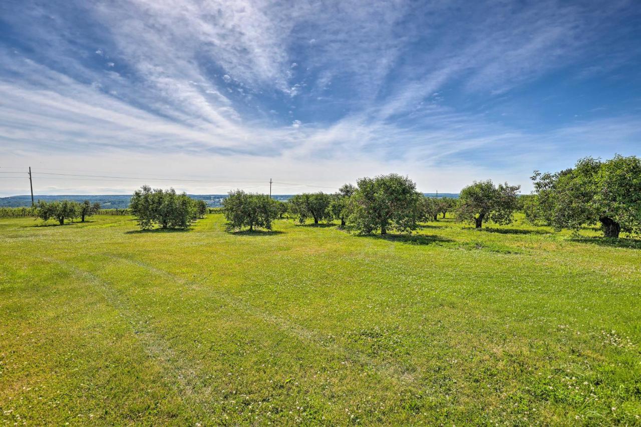 Finger Lakes Farm Retreat Walk To Wineries! Hector Bagian luar foto