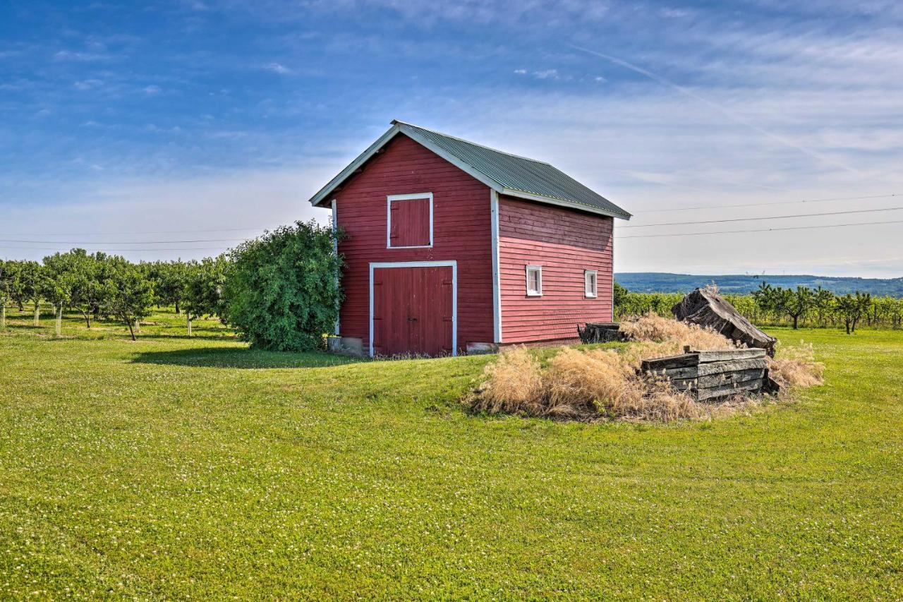 Finger Lakes Farm Retreat Walk To Wineries! Hector Bagian luar foto