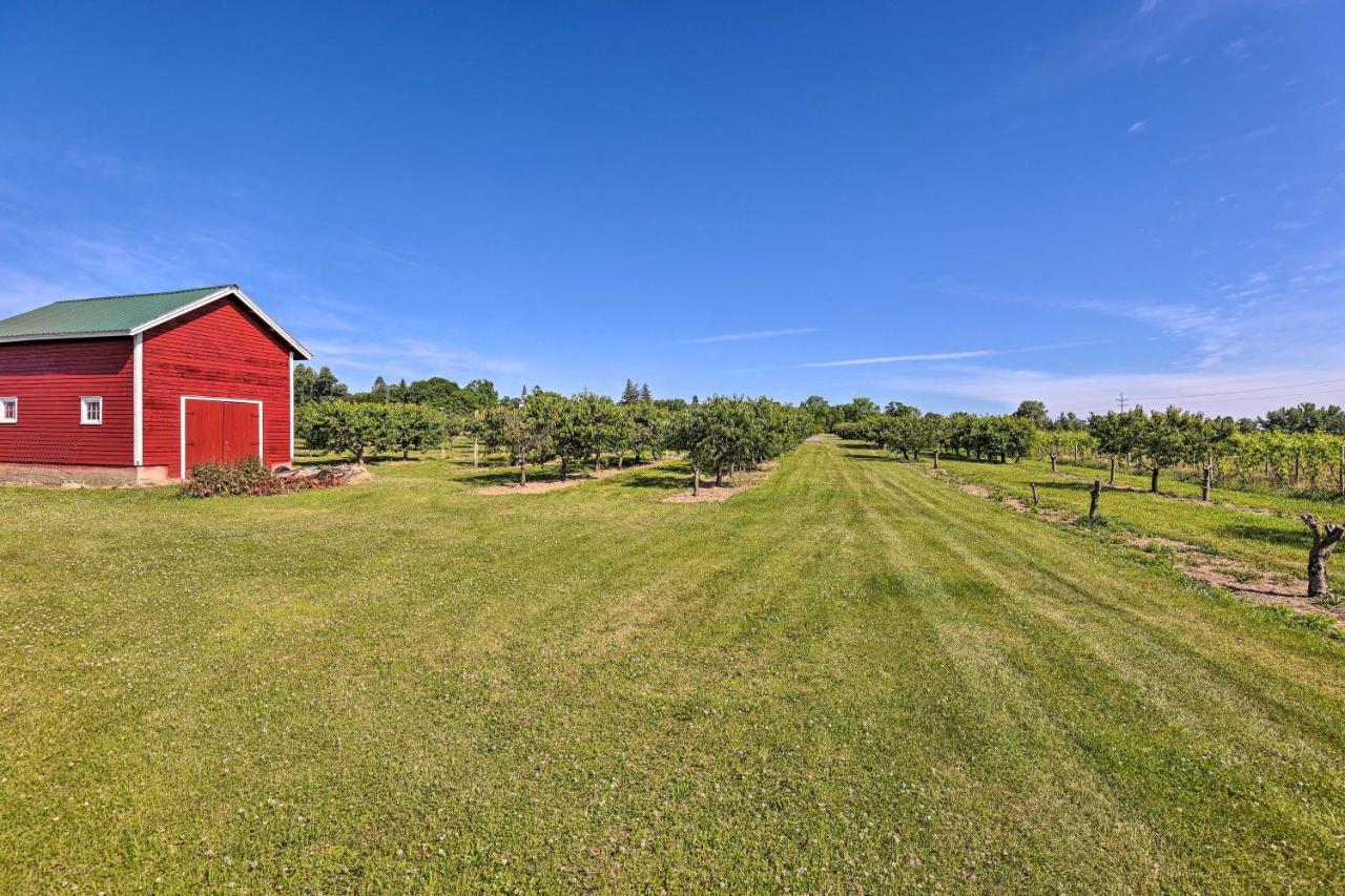 Finger Lakes Farm Retreat Walk To Wineries! Hector Bagian luar foto