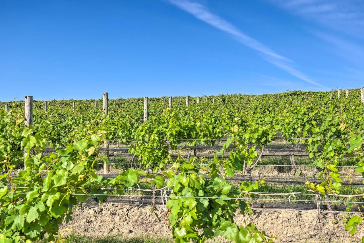 Finger Lakes Farm Retreat Walk To Wineries! Hector Bagian luar foto